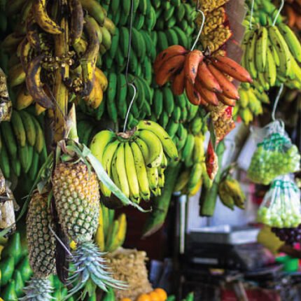 Seasonal Fresh Fruits